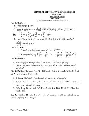 Đề khảo sát chất lượng học sinh giỏi môn Toán Lớp 6 - Năm học 2018-2019 - Lê Công Minh (Có đáp án)